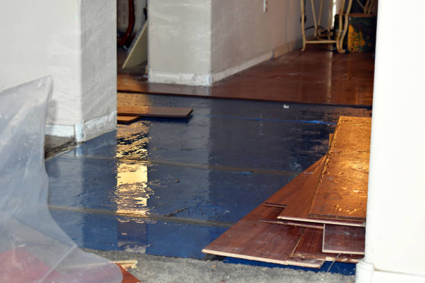 Professional Burst Pipe Water Damage technician working in Riverview, MI